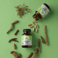 Organic India, BIO Liver-Kidney Care 90 Capsules - GREEN LIFE CYPRUS