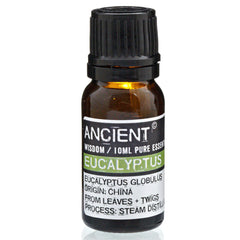 AW Gifts, Eucalyptus Essential Oil, 10ml - GREEN LIFE CYPRUS