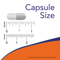 NOW Foods, B-2, 100 mg, 100 CAPS 