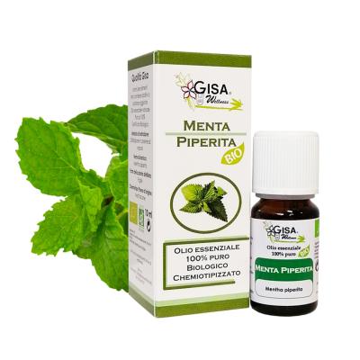 Peppermint BIO - Mentha piperita - Gisa