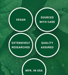BURBUR-PINELLA Detox/Brain -Nerve Cleanse - GREEN LIFE CYPRUS