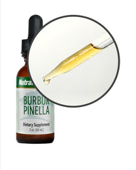 BURBUR-PINELLA Detox/Brain -Nerve Cleanse - GREEN LIFE CYPRUS