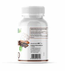 🍄 Green Life Chaga Mushroom – Natural Immune & Antioxidant Support