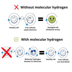 Nord, Hydrogen Water Bottle, Horizon Black, 5000 PPB, 280ml - GREEN LIFE CYPRUS