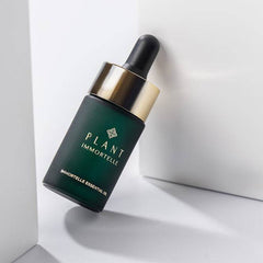 Plant Immortelle, Immortelle Essential Oil - GREEN LIFE CYPRUS