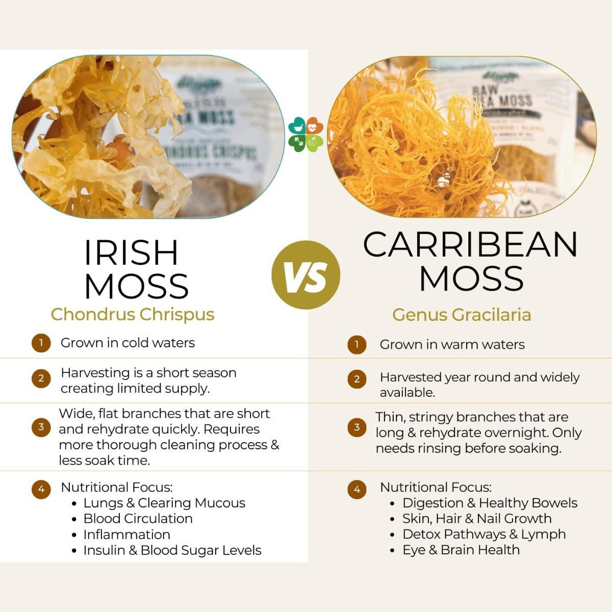 Connemara, BIO Irish Sea Moss Powder, 50g