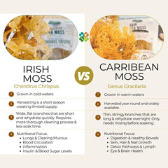 Connemara, BIO Irish Sea Moss Powder, 50 γρ