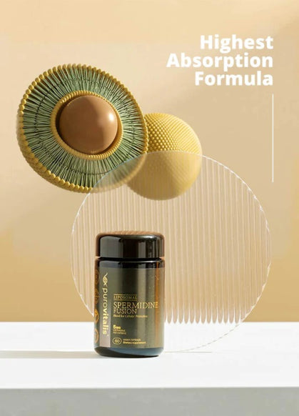 Liposomal Spermidine Fusion, 30 Vegan Κάψουλες - Purovitalis