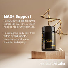 Liposomal NMN, 60 Vegan Capsules- Purovitalis - GREEN LIFE CYPRUS