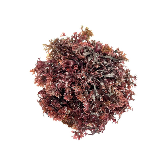 Connemara, BIO Sun Dried Purple Irish Seamoss, 40g