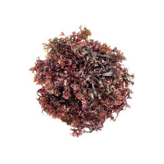Connemara, BIO Sun Dried Purple Irish Seamoss, 40g - GREEN LIFE CYPRUS