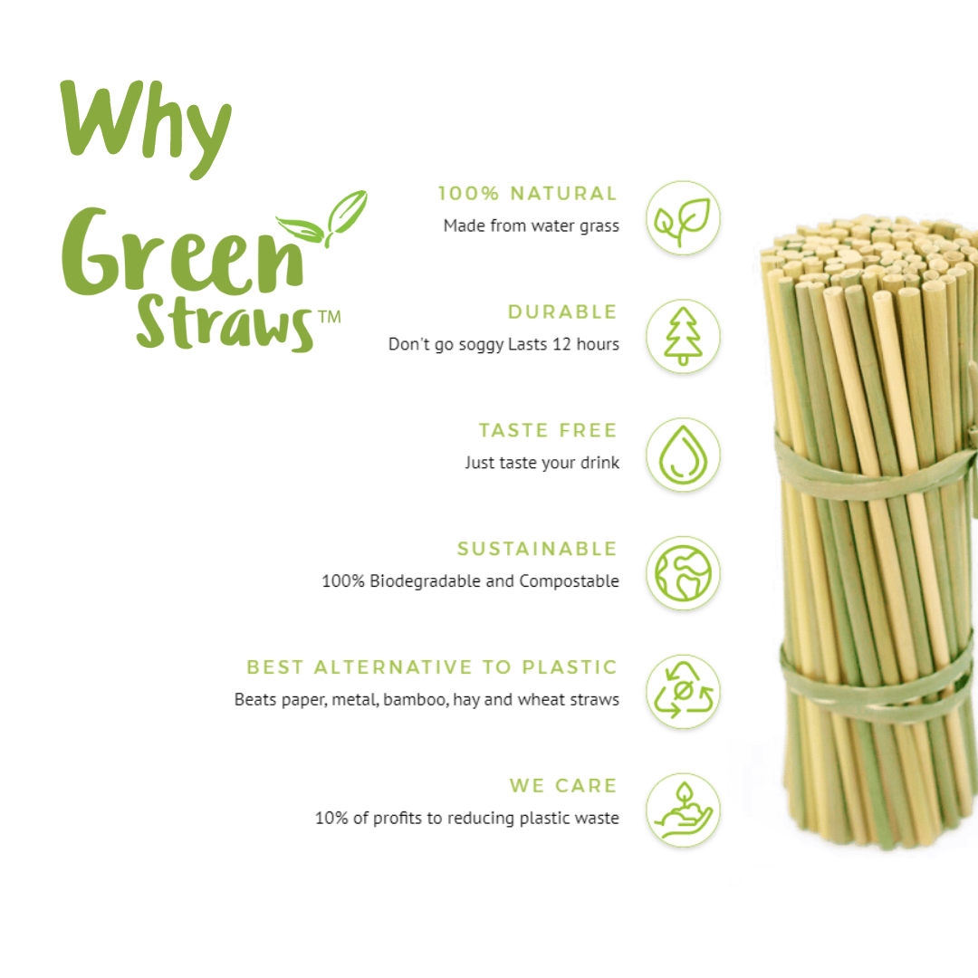 GREEN STRAWS 100p 20cm