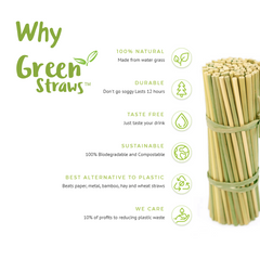 GREEN STRAWS 100p 20cm