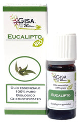 Eucalyptus BIO - Eucalyptus globulus - GREEN LIFE CYPRUS 