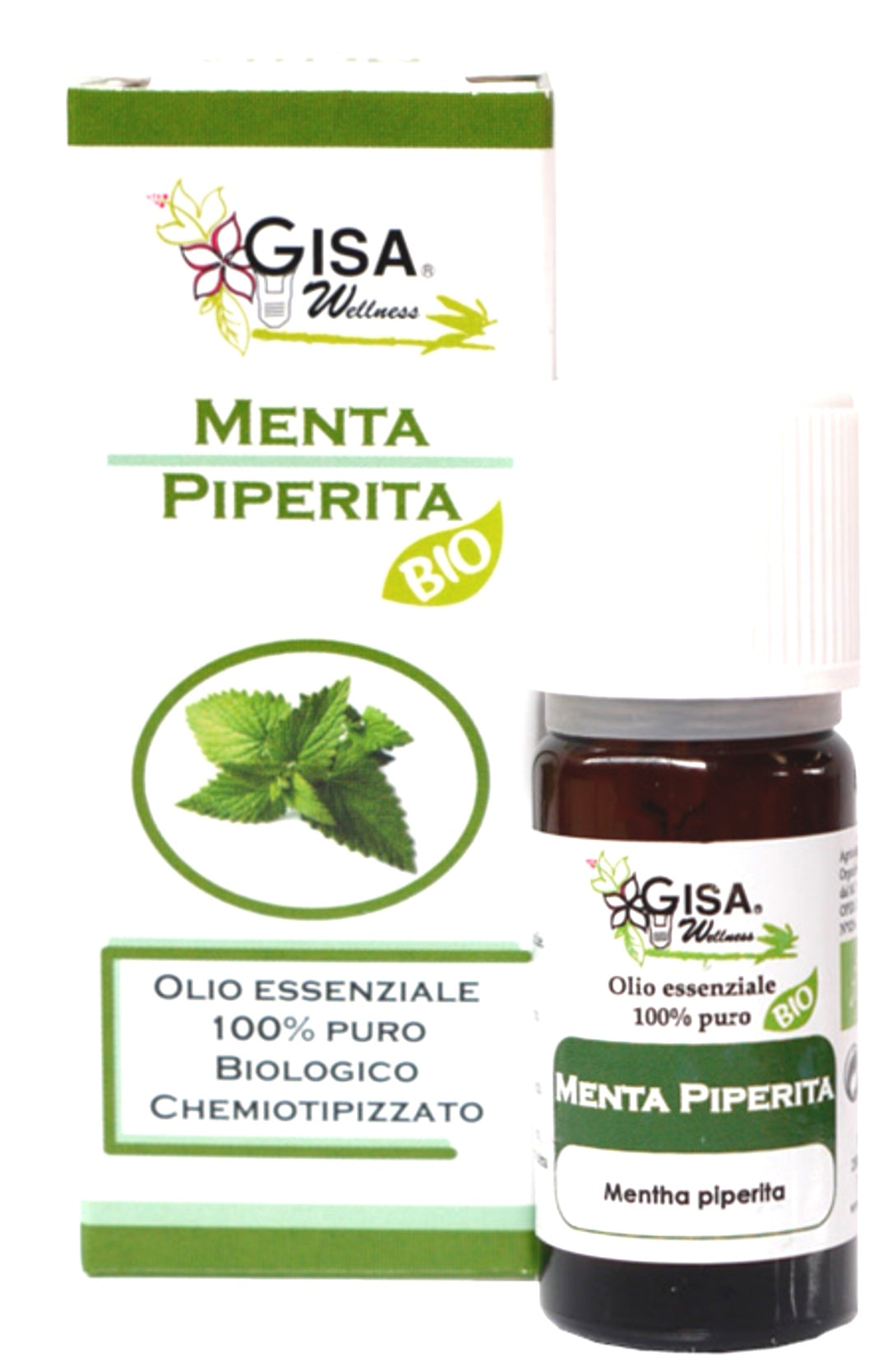 Peppermint BIO - Mentha piperita - GREEN LIFE CYPRUS 