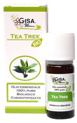 Tea Tree BIO - Melaleuca alternifolia - GREEN LIFE CYPRUS 