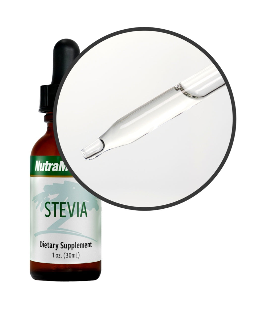 STEVIA - Sweet Hearb - GREEN LIFE CYPRUS