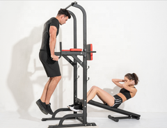 Viking Fitness,  Viking DS-24 (NG)