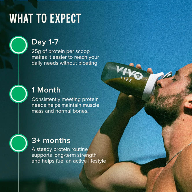 LARGE PERFORM Raw Plant Protein & BCAA - Vivo Life