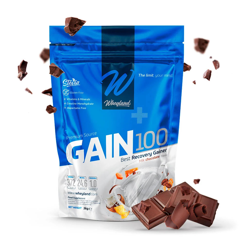 WheyLand Gain100 Premium Source Best Recovery Gainer Σοκολάτα Γάλακτος 3000g (30 Μερίδες)