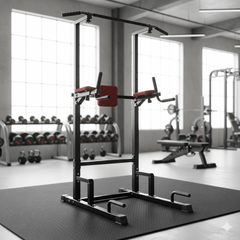 TF-01 Pull-Up & Dip Station