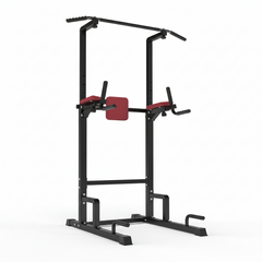 TF-01 Pull-Up & Dip Station