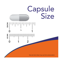 NOW Foods, Σπιρουλίνα 500mg 100 δισκία