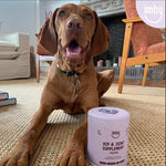 IMBY Hip & Joint supplement for dogs, showing the product packaging with label and branding on a white background.
