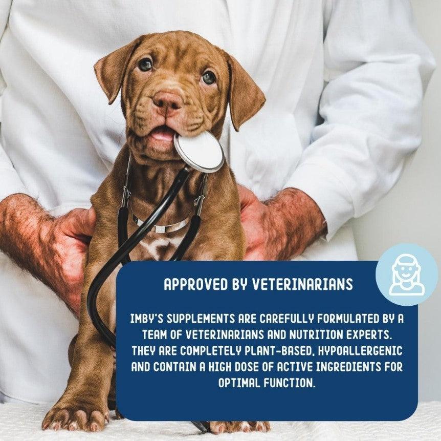 IMBY probiotics for dogs, showing the supplement packaging with label and dosage instructions in a natural setting