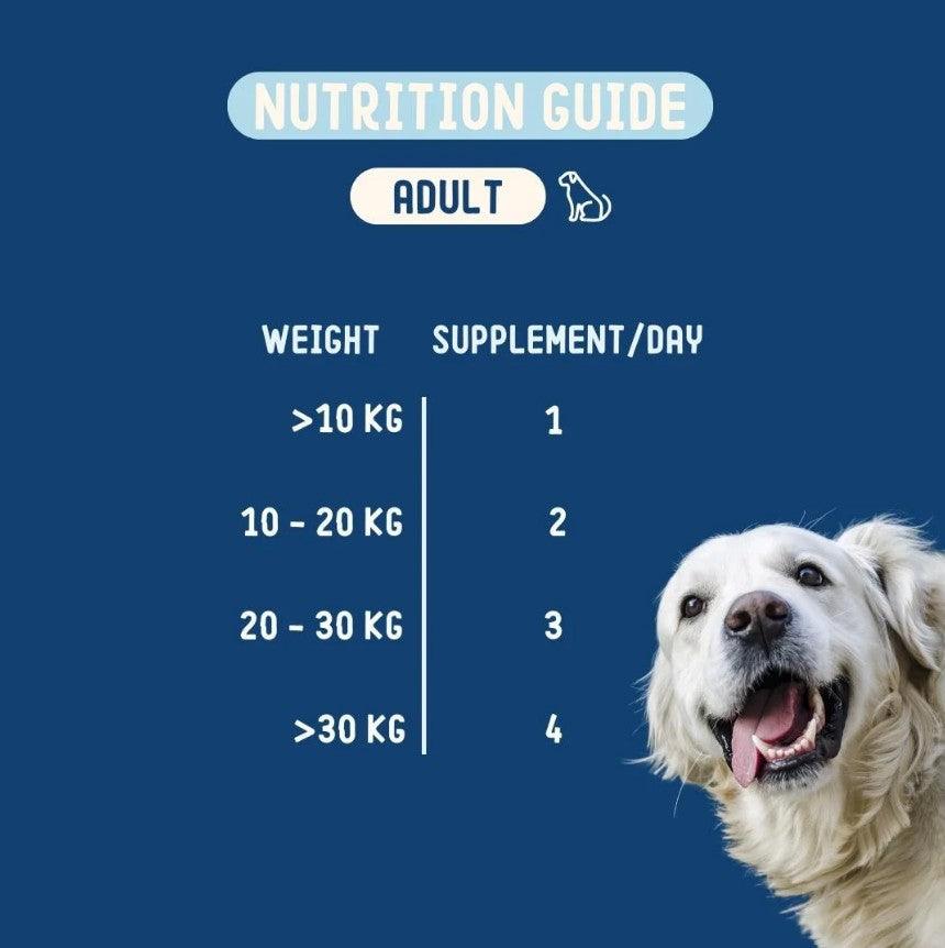 IMBY probiotics for dogs, showing a supplement container with capsules and a label emphasizing digestive health support.