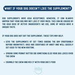 IMBY Probiotics for dogs, showing the product packaging with supplement tablets and branding on a white background.