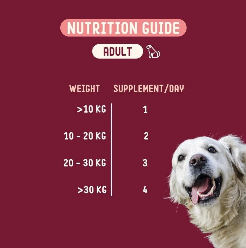 IMBY Skin Health dog supplement bottle with label showing product details and branding for canine skin support.