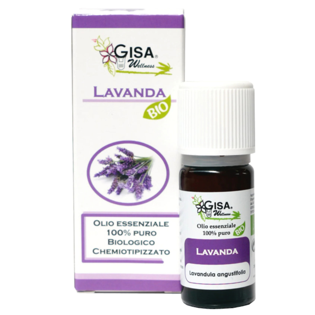 Lavender BIO (Lavandula angustifolia) - Gisa - GREEN LIFE CYPRUS