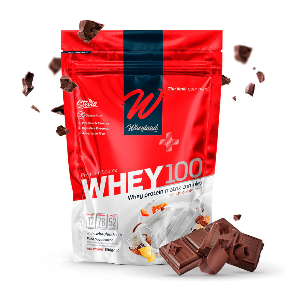 WheyLand WHEY100 Whey Protein Concentrate Complex Milk Chocolate 500g (17 Servings)