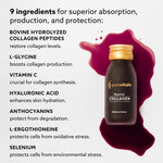 Herbalistas Purovitalis Rewind Liquid Collagen supplement in 60ml bottles, 6000mg collagen for skin support, 15-pack.