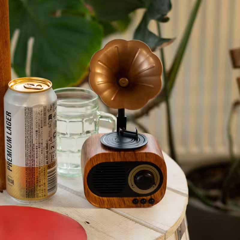 VintageTone Mini Gramophone Bluetooth Speaker & FM Radio