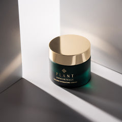 Plant Immortelle, Golden Hydrating Cream