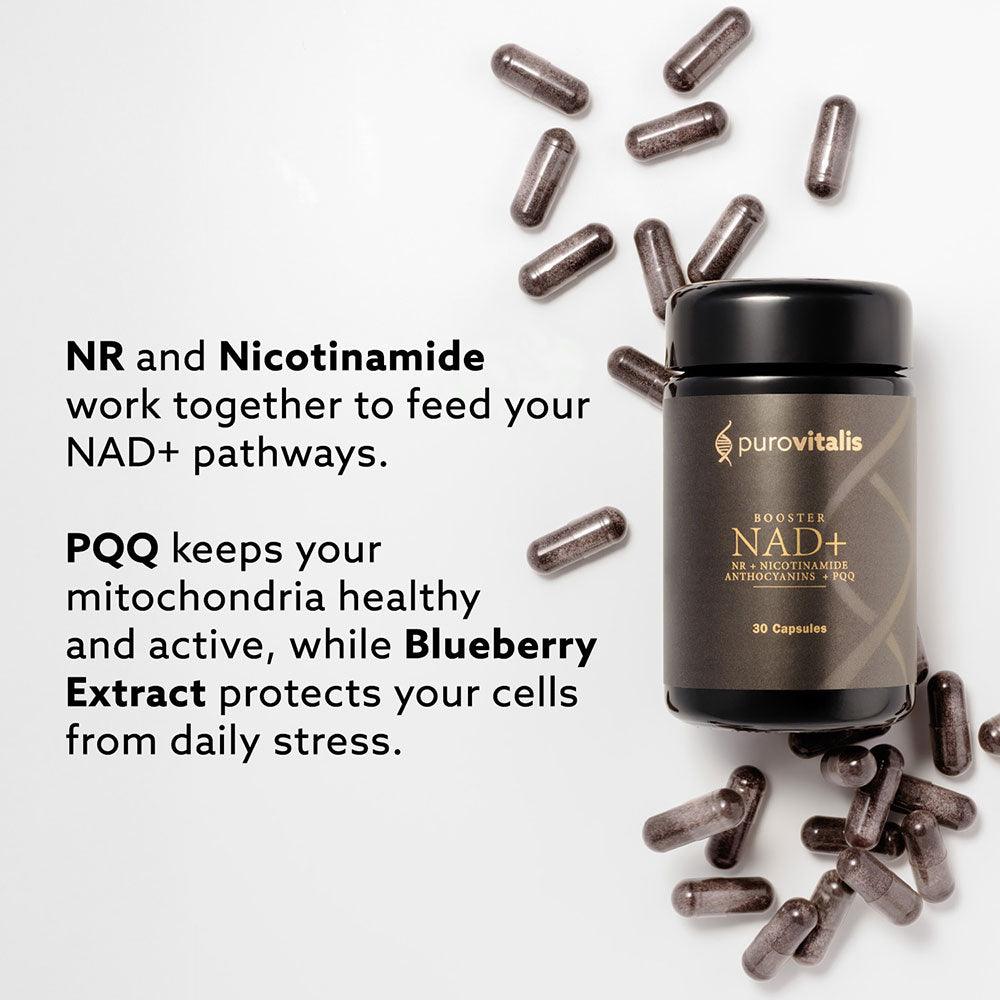 Herbalistas Purovitalis NAD+ Booster supplement capsules, showing the bottle and label for energy and anti-aging support.