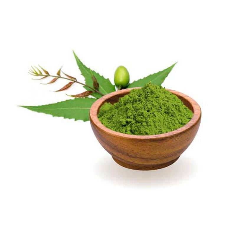 Organic India BIO Neem Powder 100g in a clear container, showcasing the fine green powder used for skincare and health remedies.