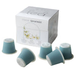 Teapsule Spearmint tea capsules, 10-count, natural herbal supplement in a clear blister pack, fresh spearmint leaves on the package.