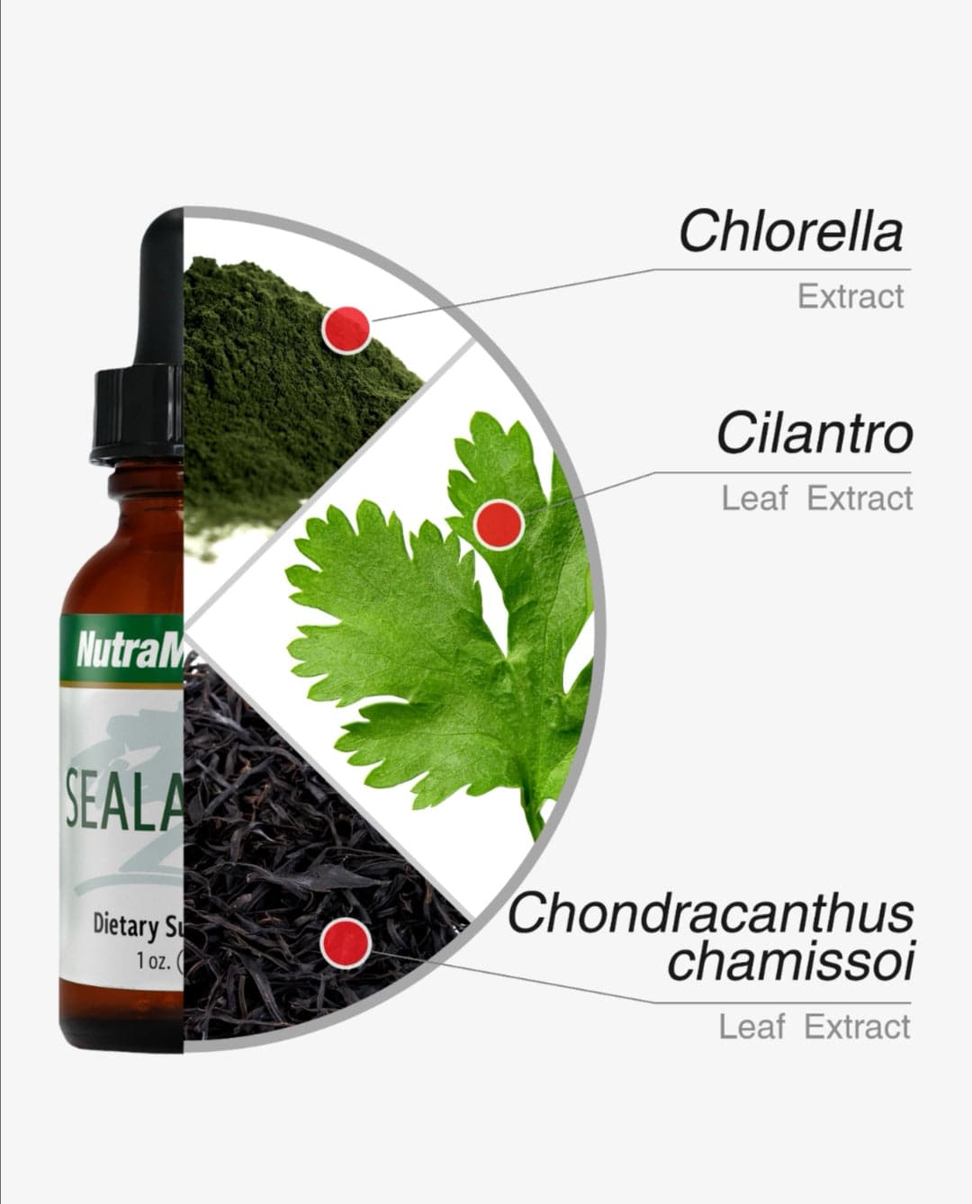 Bottle of Nutramedix SEALANTRO metal detox supplement by SENTOSA with label and supplement capsules inside